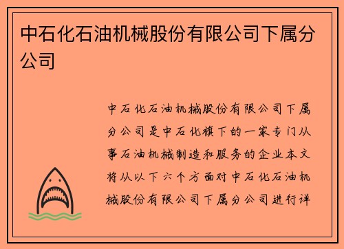中石化石油机械股份有限公司下属分公司